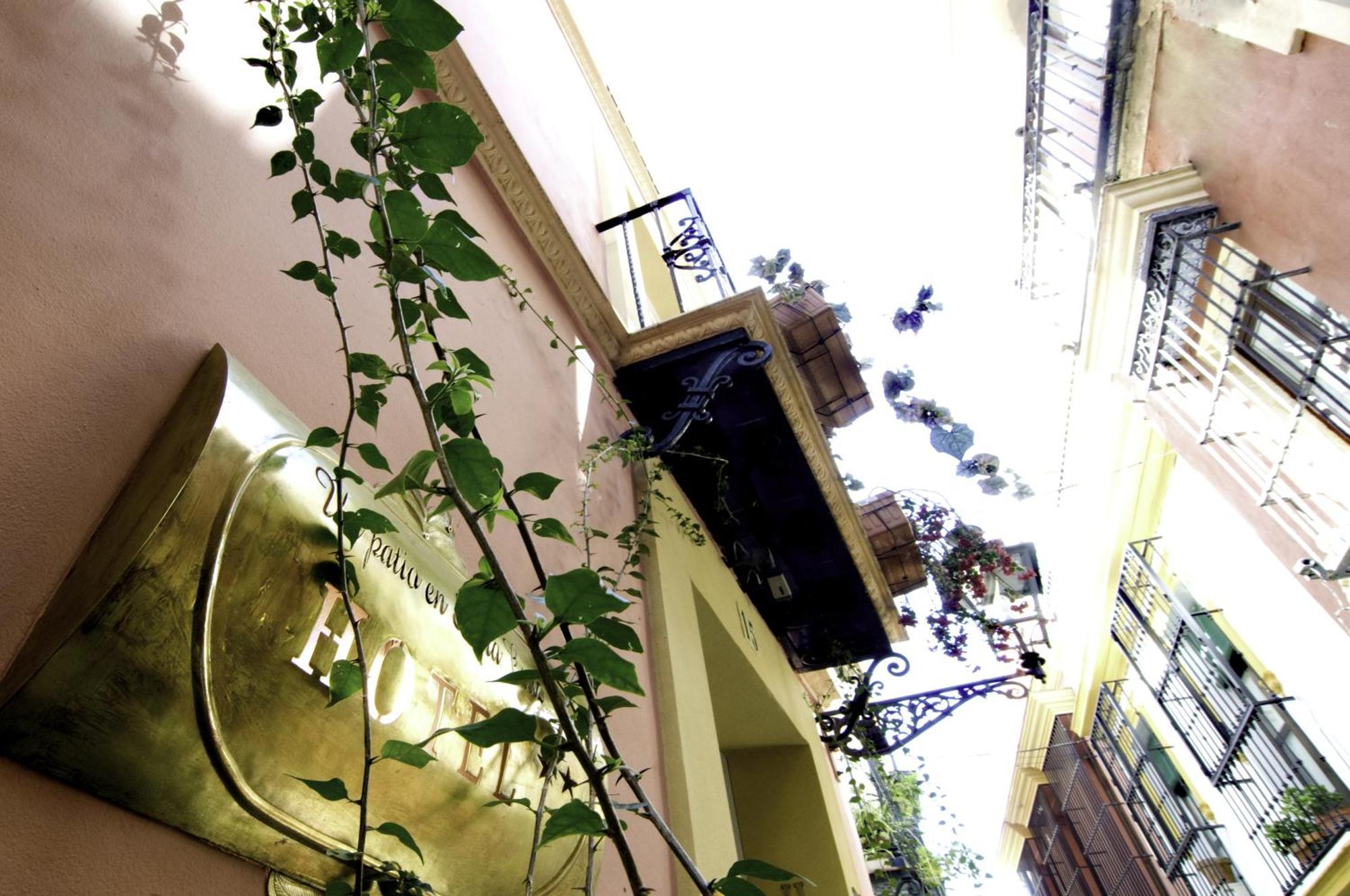 Un Patio En Santa Cruz Hotel Sevilla Exterior foto